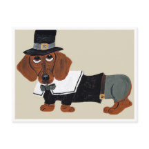 Dachshund Thanksgiving Pilgrim