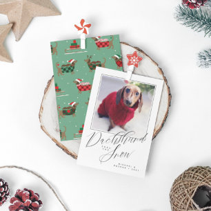 DACHSHUND THRU DE NEUW Voeg je foto toe