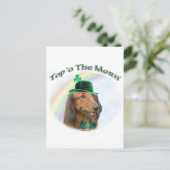 Dachshund Top of the Morn'; Dachshund St. Patrick Briefkaart (Staand voorkant)