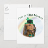 Dachshund Top of the Morn'; Dachshund St. Patrick Briefkaart (Voorkant / Achterkant)