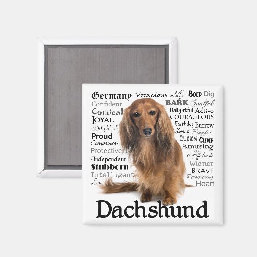 Dachshund Traits Magnet (Voorkant / Achterkant)