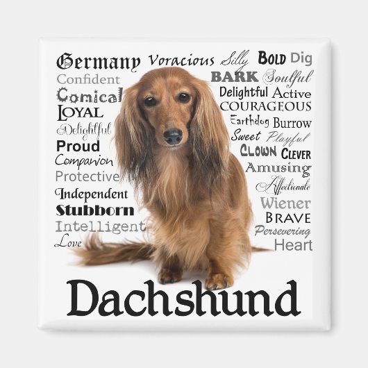 Dachshund Traits Magnet (Voorkant)