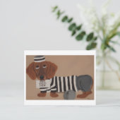 Dachshund traktatendief Gevangenvogel Briefkaart (Staand voorkant)