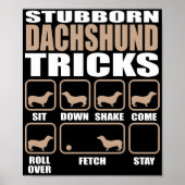 Dachshund Tricks-design voor studenten Poster (Voorkant)