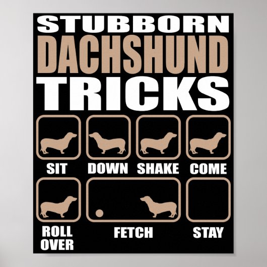 Dachshund Tricks-design voor studenten Poster (Voorkant)