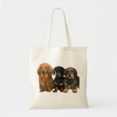 Dachshund Trio Canvas tas (Voorkant)
