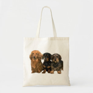 Dachshund Trio Canvas tas