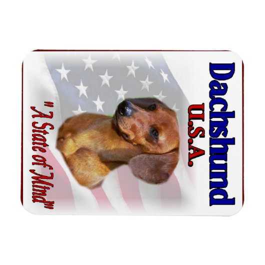 Dachshund USA Magneet (Horizontaal)