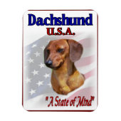 Dachshund USA Magneet (Verticaal)