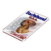 Dachshund USA Magneet (Linkerzijde)