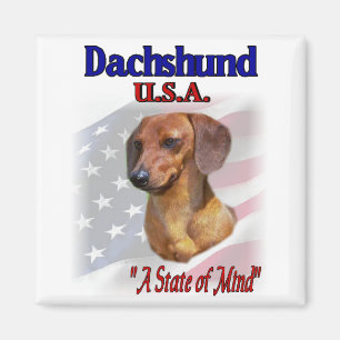 Dachshund USA Patriotic Magneet