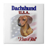 Dachshund USA Tegeltje (Voorkant)