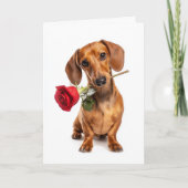 Dachshund Valentijnsdag Puppy Liefde met een Roos Kaart (Voorkant)