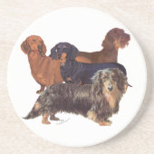 Dachshund Varieties Zandsteen Onderzetter (Voorkant)