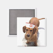 Dachshund verpleegkundige magneet (Voorkant / Achterkant)