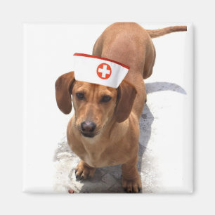 Dachshund verpleegster magnet