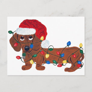 Dachshund verstrikt in kerstverlichting (rood) feestdagenkaart