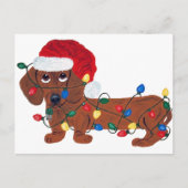 Dachshund verstrikt in kerstverlichting (rood) feestdagenkaart (Voorkant)