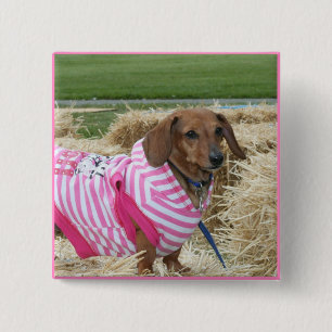 Dachshund Vierkante Button 5,1 Cm