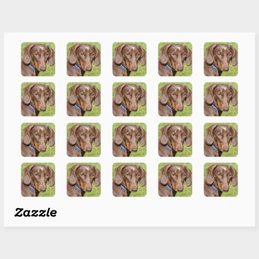 Dachshund Vierkante Sticker (Vel)