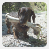 Dachshund Vierkante Sticker (Voorkant)