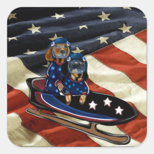 DACHSHUND  VIERKANTE STICKER