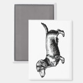 Dachshund Vintage Gravure Illustratie Magneet (Voorkant / Achterkant)