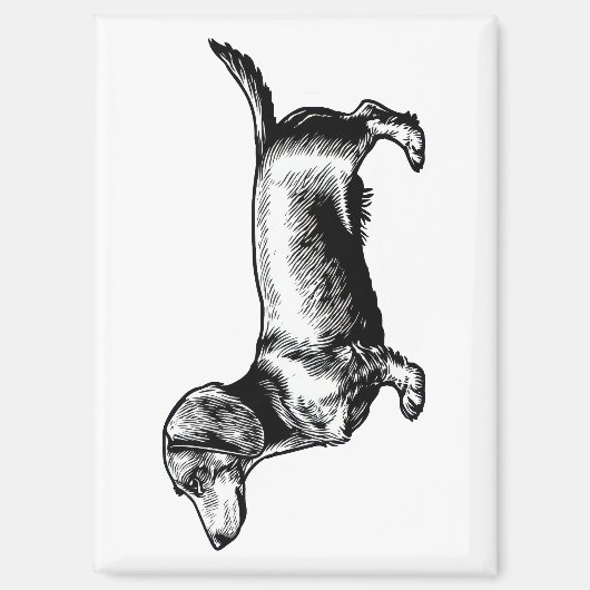 Dachshund Vintage Gravure Illustratie Magneet (Voorkant)