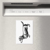 Dachshund Vintage Gravure Illustratie Magneet (Insitu (Vaatwasser))