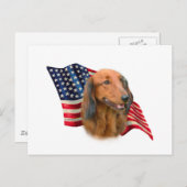 Dachshund Vlag Briefkaart (Voorkant / Achterkant)