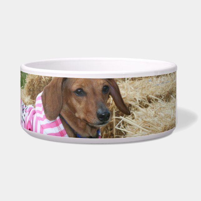 Dachshund Voerbakje (Voorkant)