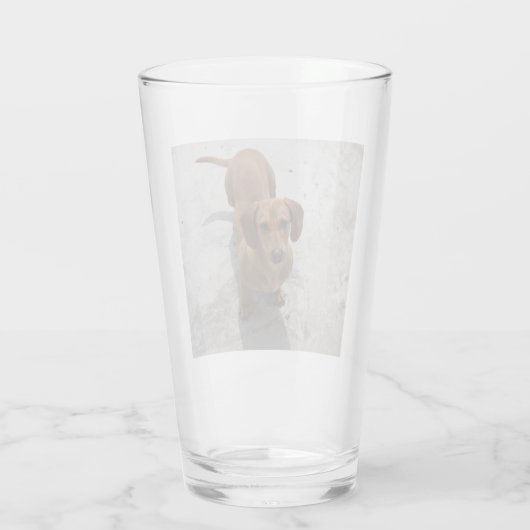 dachshund vol glas (Achterkant)