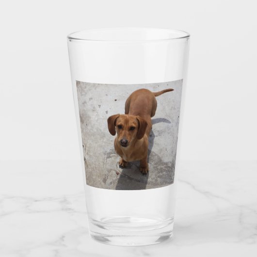 dachshund vol glas (Voorkant)
