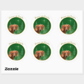 Dachshund Vrede op Aarde - Sticker (Vel)