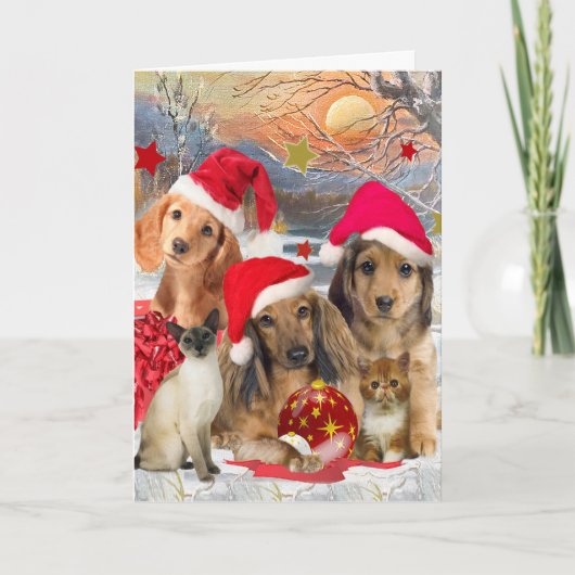 Dachshund Vrolijk Kerstfeest Kaarten (Voorkant)