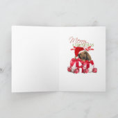 Dachshund Vrolijk Kerstfeest Kaarten (Binnen)