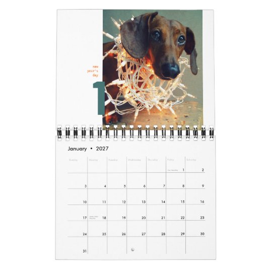 dachshund wall kalender 2012 - minuscule chumley (Jan 2027)