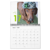 dachshund wall kalender 2012 - minuscule chumley (Mar 2027)