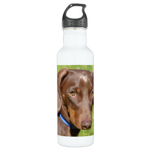Dachshund Waterfles