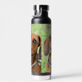 Dachshund Waterfles (Rechts)