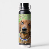 Dachshund Waterfles (Achterkant)