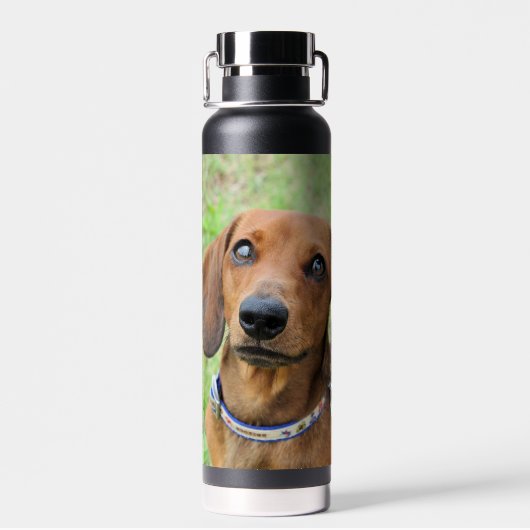 Dachshund Waterfles (Achterkant)