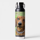 Dachshund Waterfles (Voorkant)