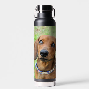 Dachshund Waterfles