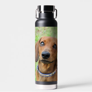 Dachshund Waterfles
