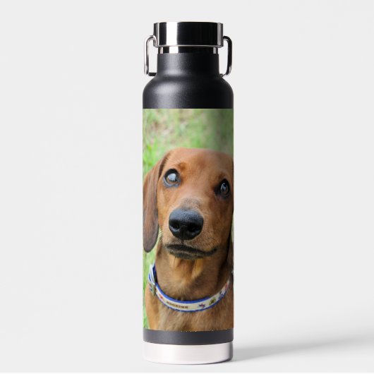 Dachshund Waterfles (Voorkant)