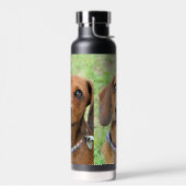 Dachshund Waterfles (Links)