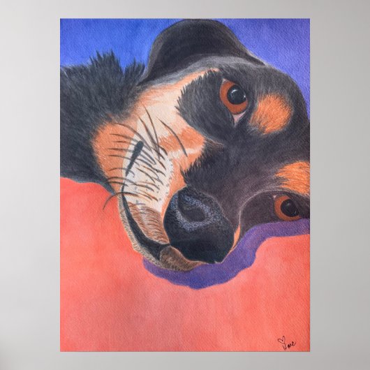 Dachshund-Waterverf Poster (Voorkant)