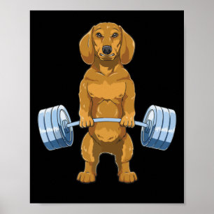 Dachshund Weightlift Deadlift Fitness Gym Poster
