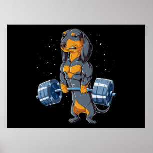 Dachshund Weightlift Fitness Gym Poster